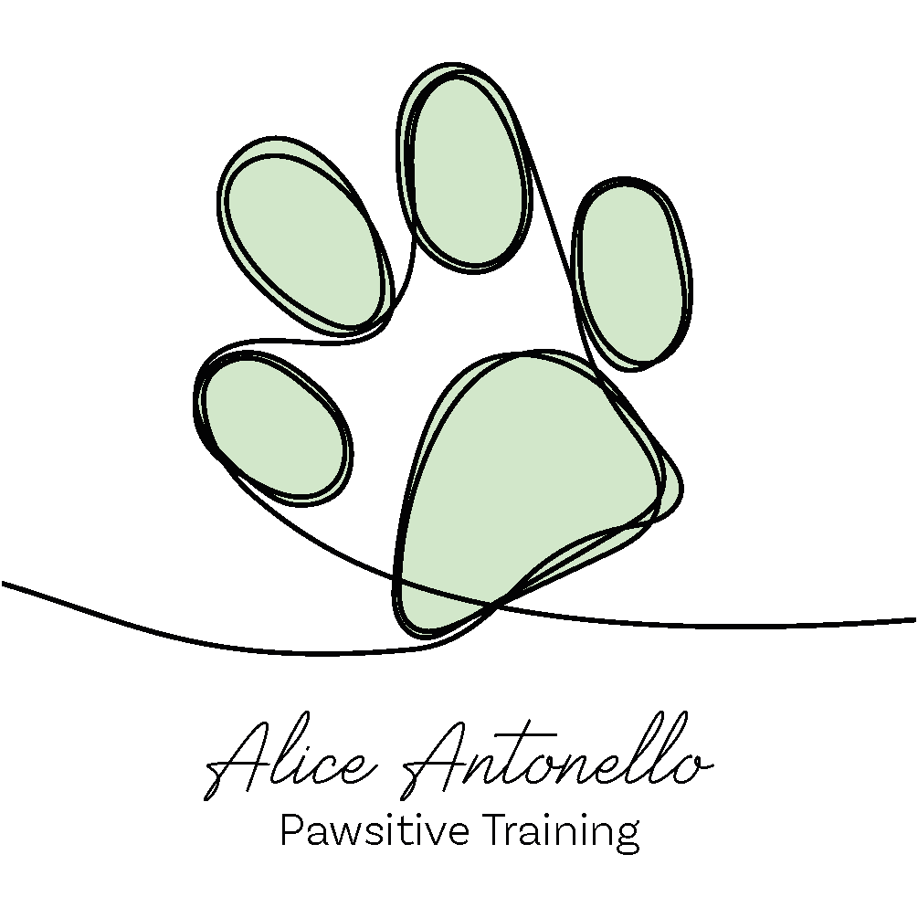 Alice Antonello – Addestratrice cinofila ENCI